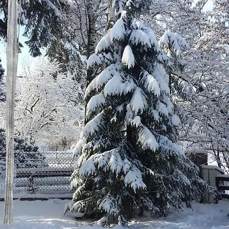 Agata Проживание в семье *