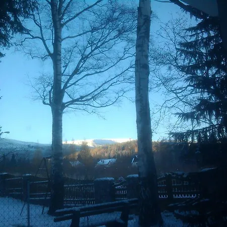 Проживание в семье Agata *